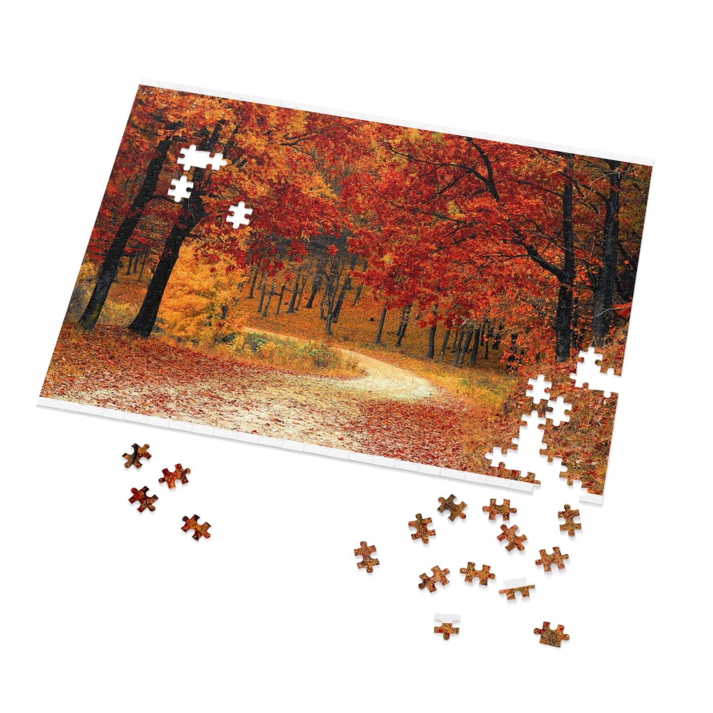 Jigsaw Puzzle (500 or 1000-Piece)