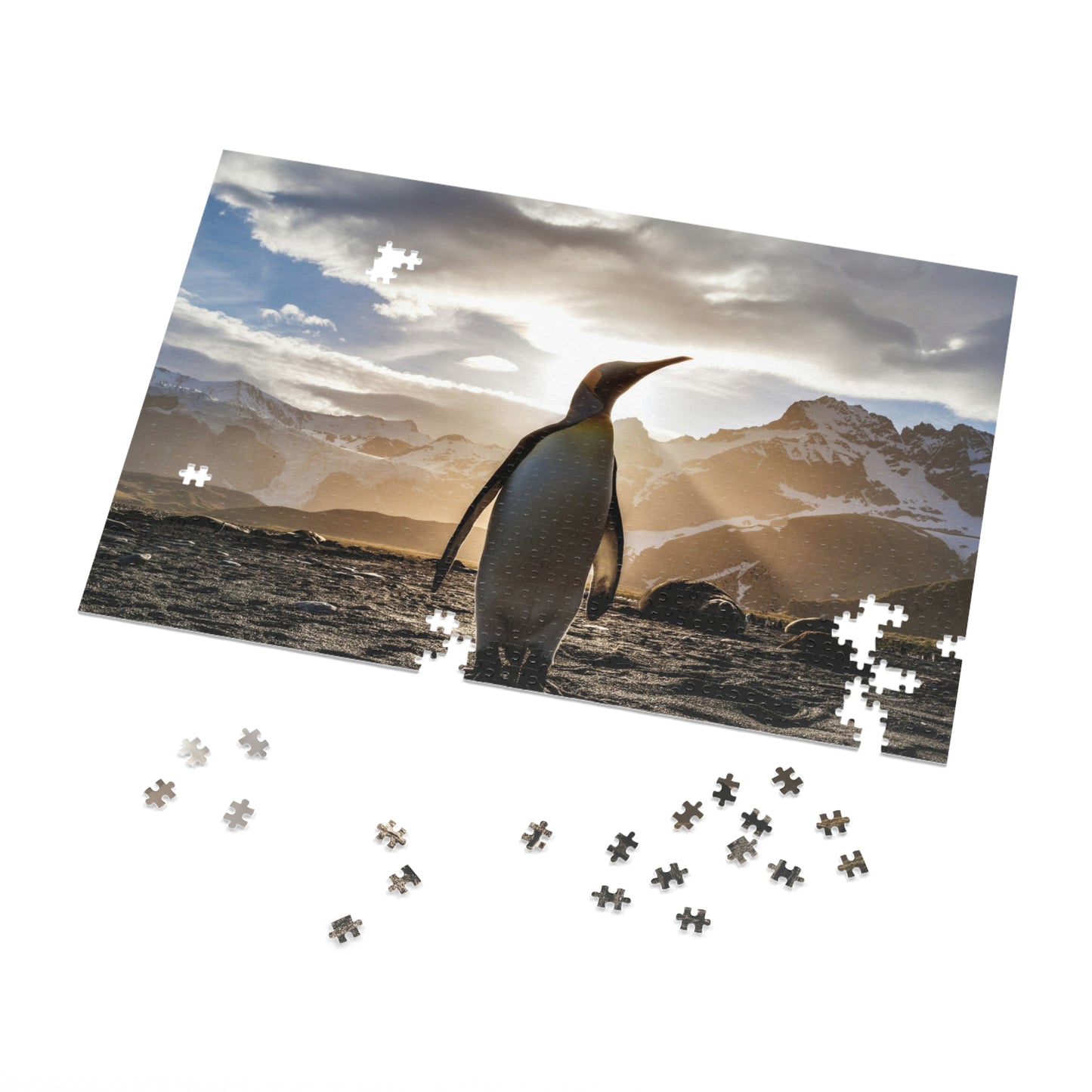 Jigsaw Puzzle (500 or 1000-Piece)