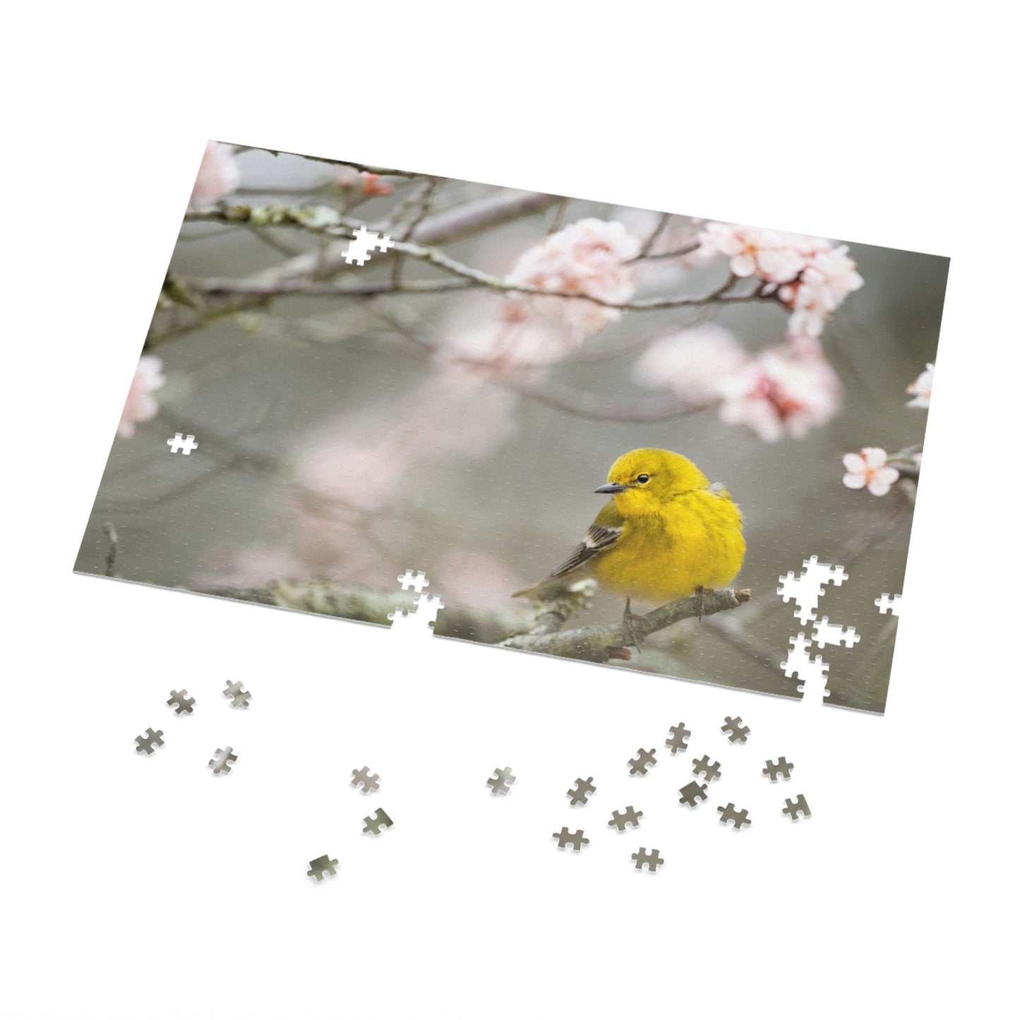 Jigsaw Puzzle (50or 1000-Piece)