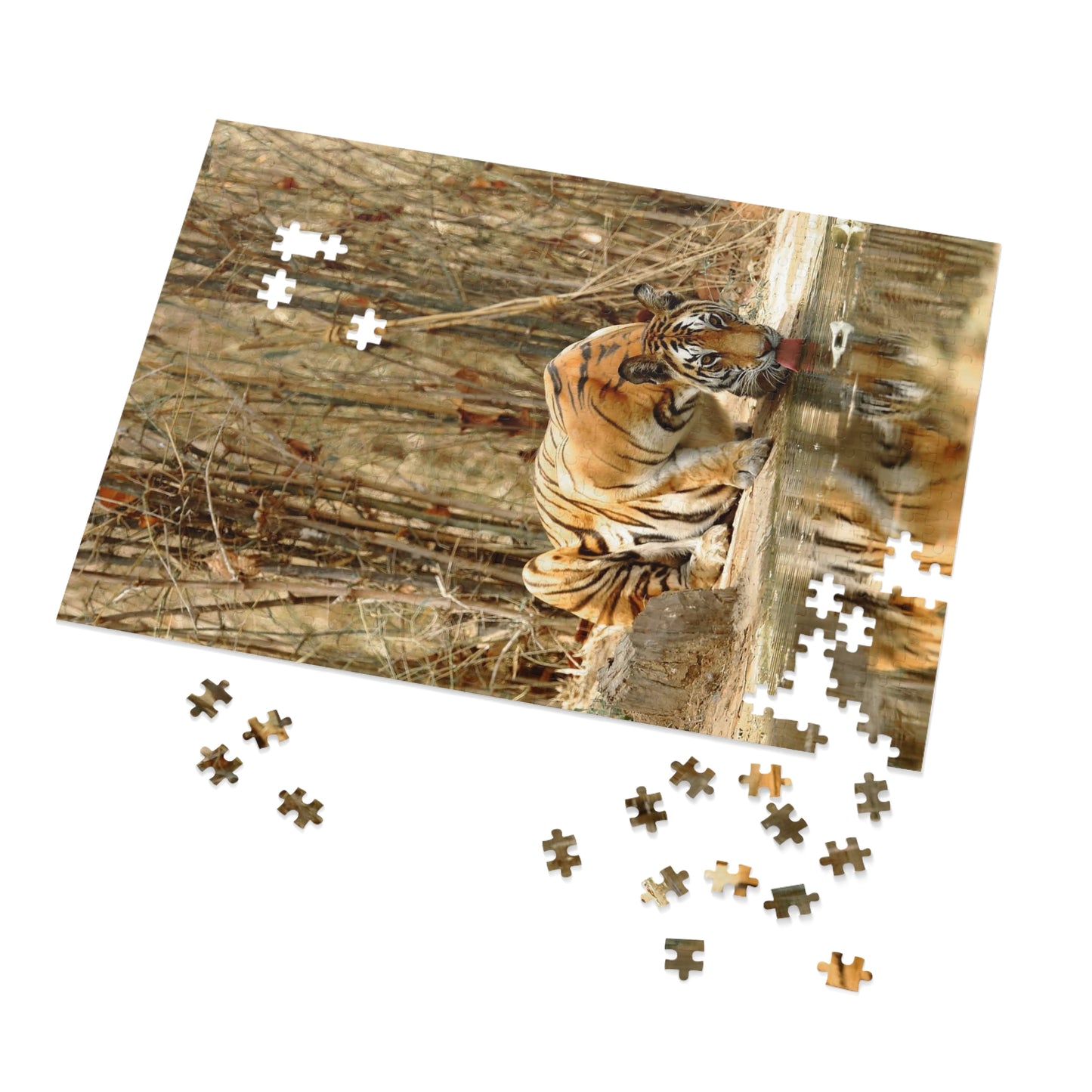 Jigsaw Puzzle (500 or 1000-Piece)