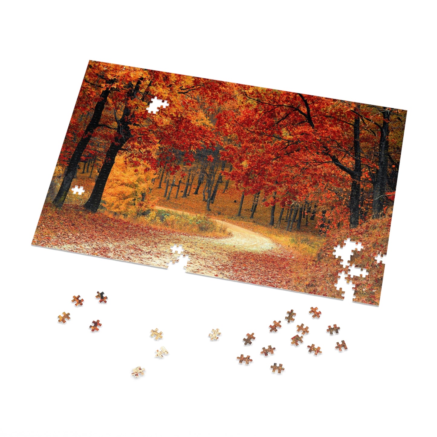 Jigsaw Puzzle (500 or 1000-Piece)