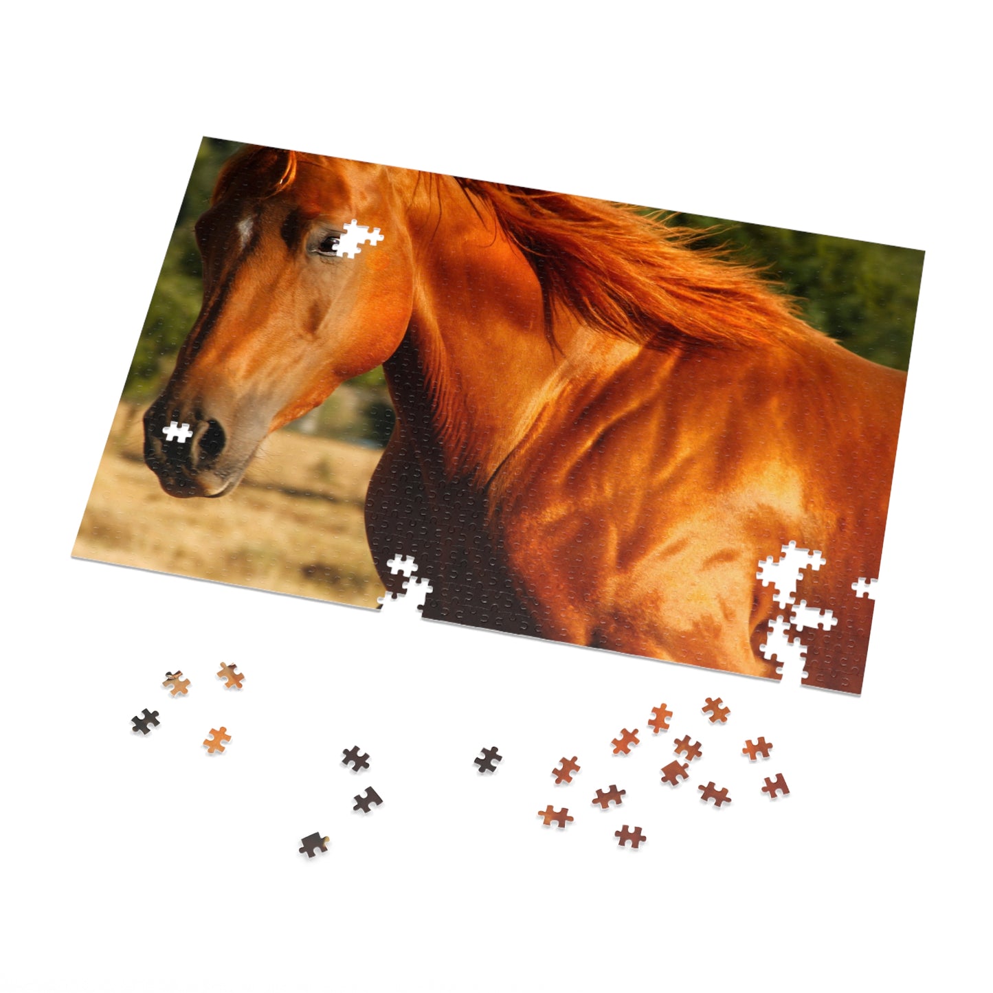 Jigsaw Puzzle (500 or 1000-Piece)