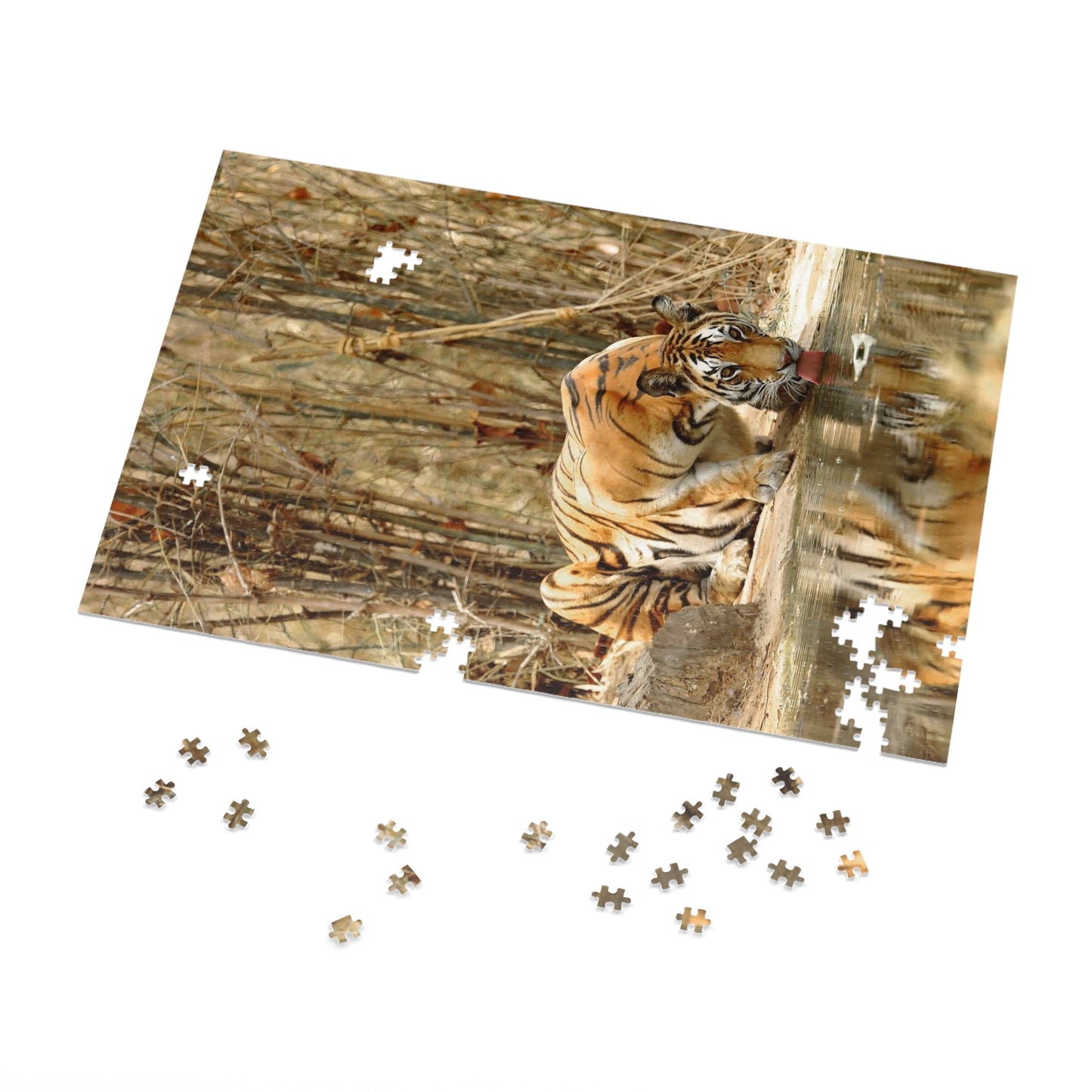 Jigsaw Puzzle (500 or 1000-Piece)